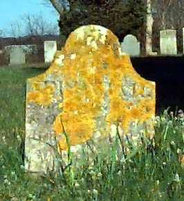 jpeg image of gravestone